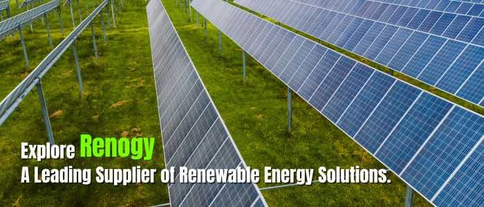 Renogy: Powering a Sustainable Future