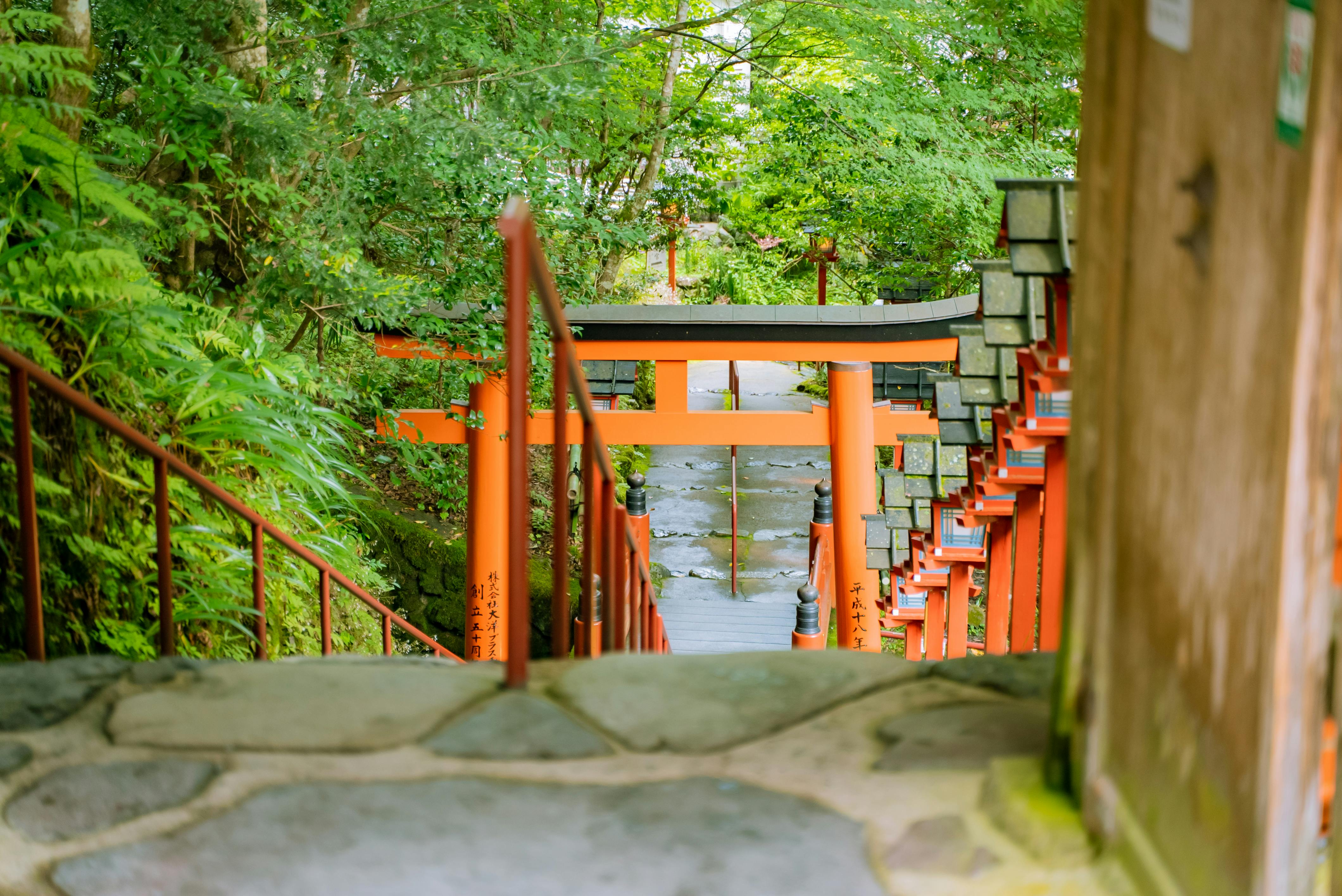 A winding path through the woods leads to a vibrant orange torii gate, surrounded by lush greenery