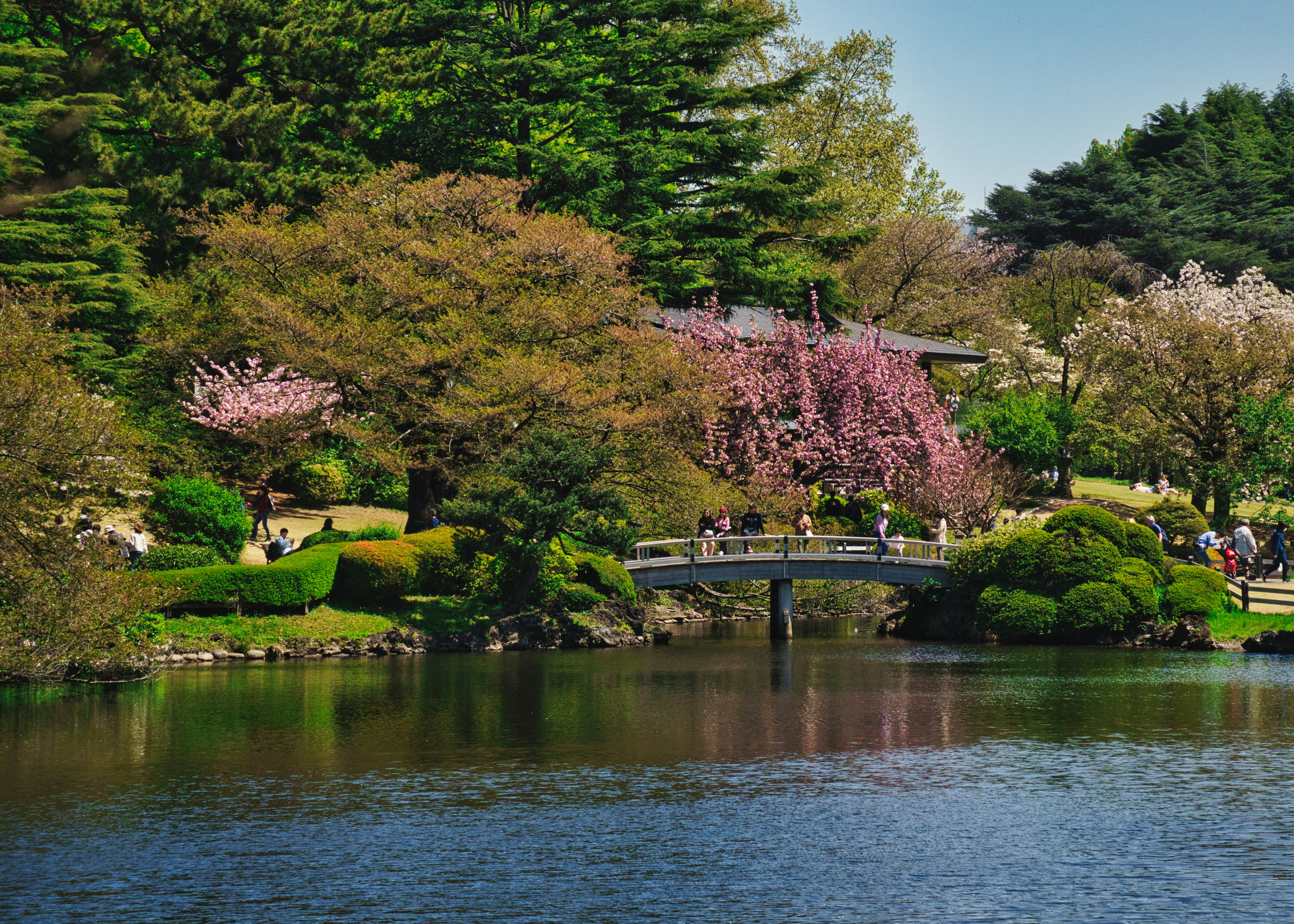  A bridge spans over a calm body of water, reflecting the surrounding landscape