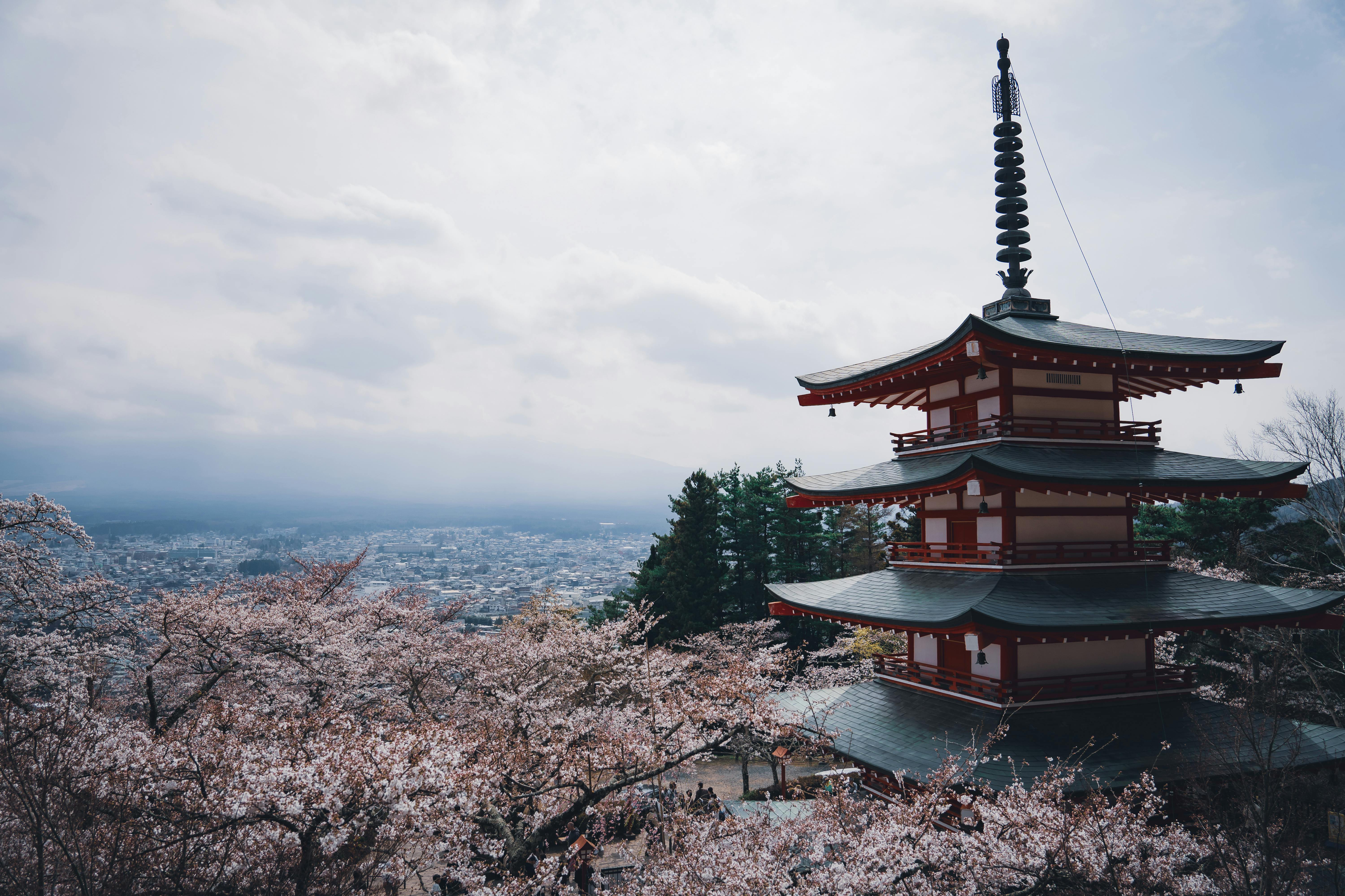  A serene pagoda surrounded by blooming cherry blossoms in a lush green field