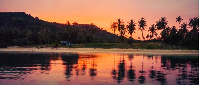 A serene beach at sunset with vivid orange and pink skies. Silhouetted palm trees line the shore, reflecting in the calm water, creating a tranquil scene.
