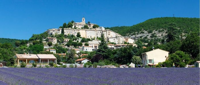 A picturesque hillside village with rustic, stone buildings and a bell tower is surrounded by lush green trees and a vibrant lavender field in the foreground.