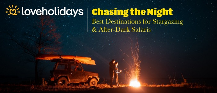 Chasing the Night: Best Destinations for Stargazing & After-Dark Safaris