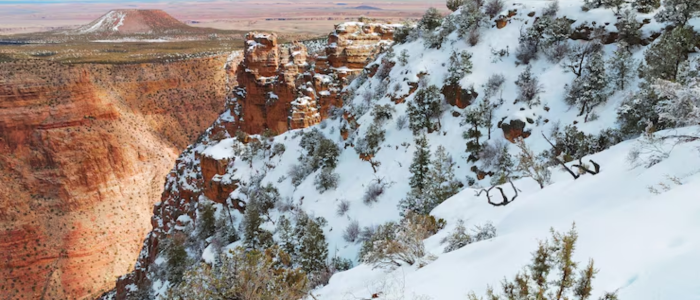 Fly Geyser, Nevada, USA