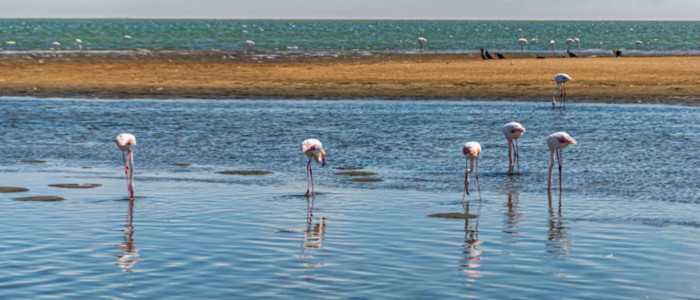 Lençóis Maranhenses, Brazil