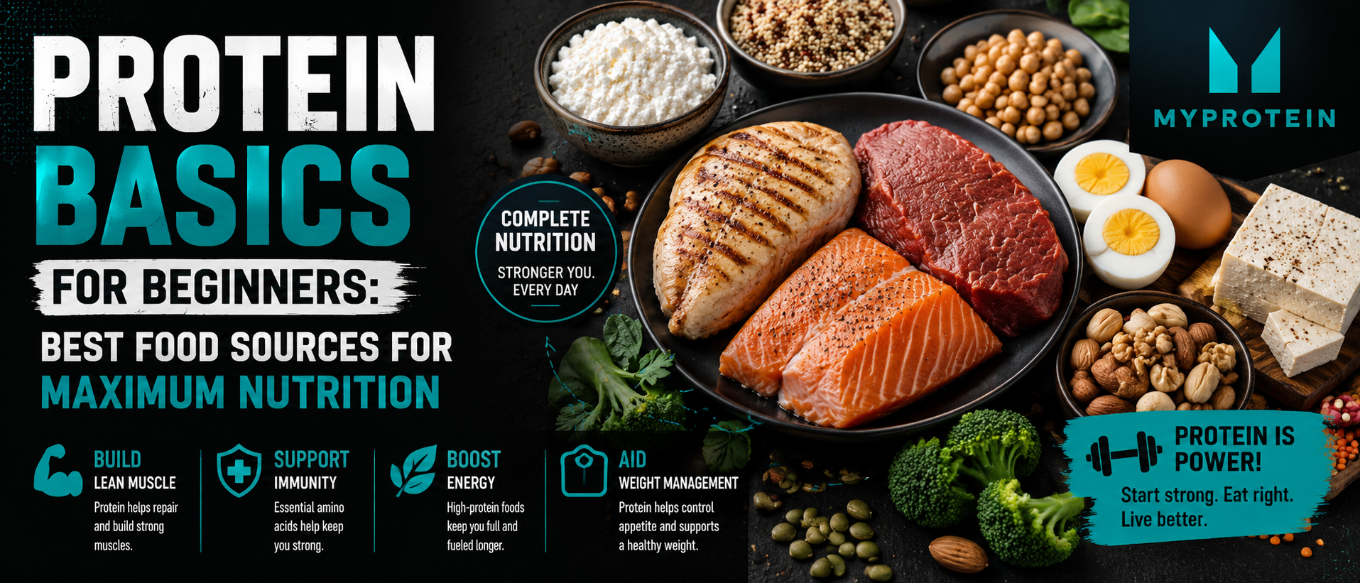 Protein Basics for Beginners: Best Food Sources for Maximum Nutrition