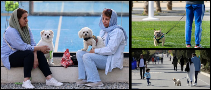 featured-image